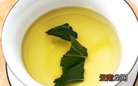 桑叶茶又叫短命茶副作用 桑叶茶又叫短命茶是什么意思