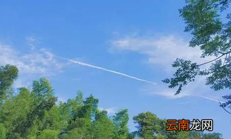 武汉夏季最高温度是多少度 2022武汉的夏天几月份最热