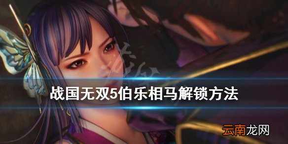 战国无双5伯乐相马成就怎么达成 伯乐相马解锁方法