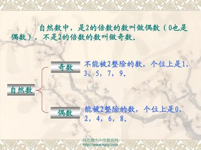 什么叫奇数