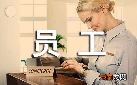 新进员工个人工作总结