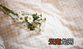 桌布油渍怎么清洗 桌布上的油渍怎么清洗