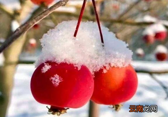 闰年是什么意思