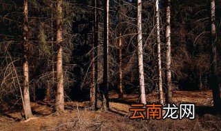 酸雨的危害有哪些 具体有哪些