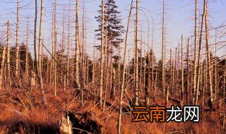 酸雨的危害 分别有什么不好的影响