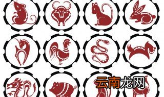 地上的生肖指什么生肖 十二生肖哪些是属于地肖