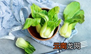 油菜炖海鲜菇的做法 油菜炖海鲜菇的做法步骤