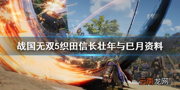 战国无双5巳月和织田信长什么关系 织田信长壮年与巳月资料