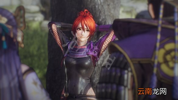 战国无双5巳月和织田信长什么关系 织田信长壮年与巳月资料