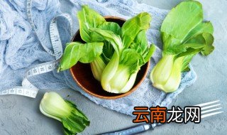 多吃蔬菜用英语怎么说，我建议你多吃蔬菜用英语怎么说