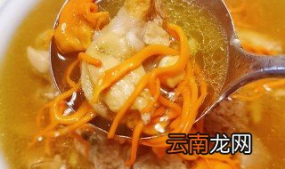 新鲜虫草花炖鸡汤的做法 新鲜虫草花炖鸡怎么做