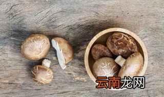 新鲜香菇炒肉的做法 香菇炒肉怎么做