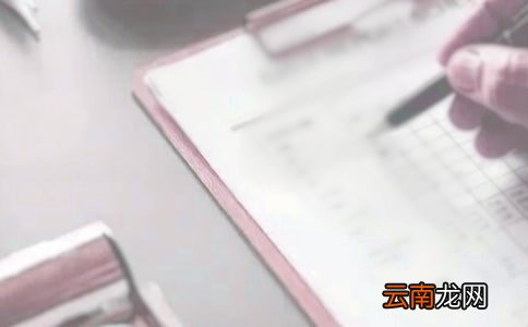 信用社个人工作总结