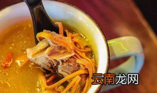 虫草花炖鸽子 虫草花炖鸽子做法介绍