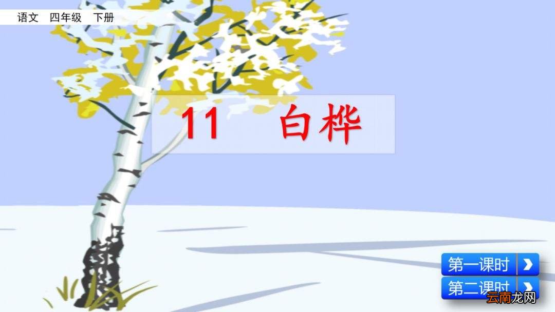 白桦课文