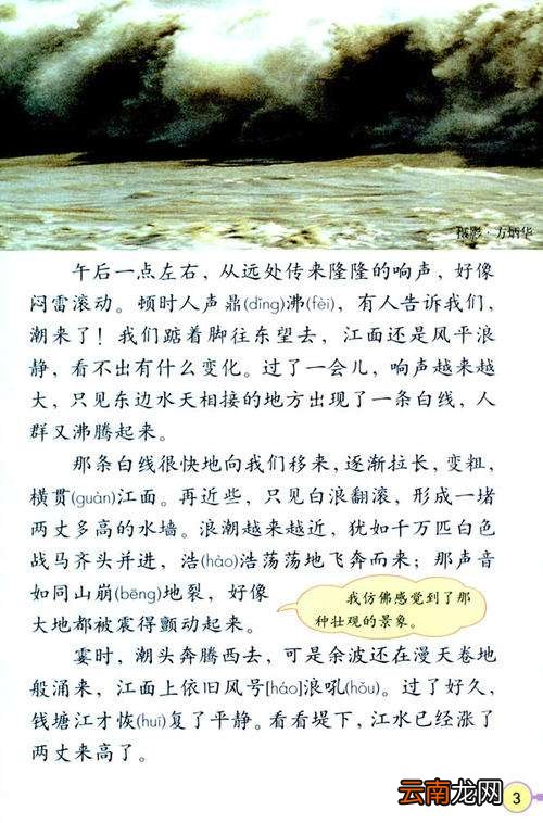 观潮课文教案