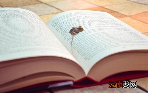 什么叫勾股定理