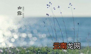 2020白露是几月几日 2020白露节气的介绍