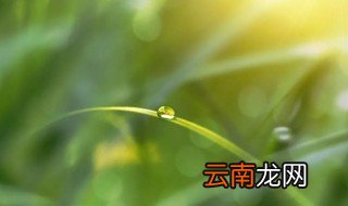 白露节气是几月份 白露节气是什么时候