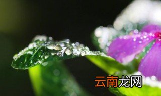 白露凉快了吗 白露天气怎么样