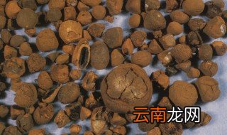 牛黄是什么东西 牛黄简述