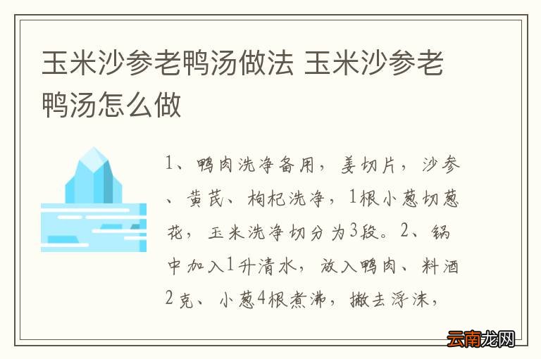 玉米沙参老鸭汤做法 玉米沙参老鸭汤怎么做