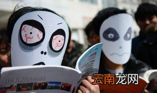 禾字怎么解释，禾字怎么解释好听