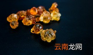 桃胶是什么东西 关于桃胶的简介
