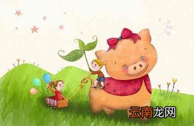 属猪女最佳婚配属相