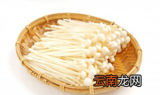 金针菇在家怎么种植视频 金针菇在家怎么种植