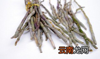 石斛在家怎么种植方法，石斛在家怎么种植方法与技术