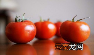 小西红柿怎么辨别公母 西红柿公母怎么判断大小