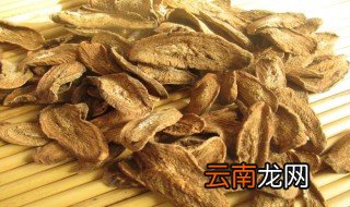 牛蒡是什么东西 牛蒡简述