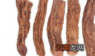 苁蓉是什么东西 苁蓉的含义