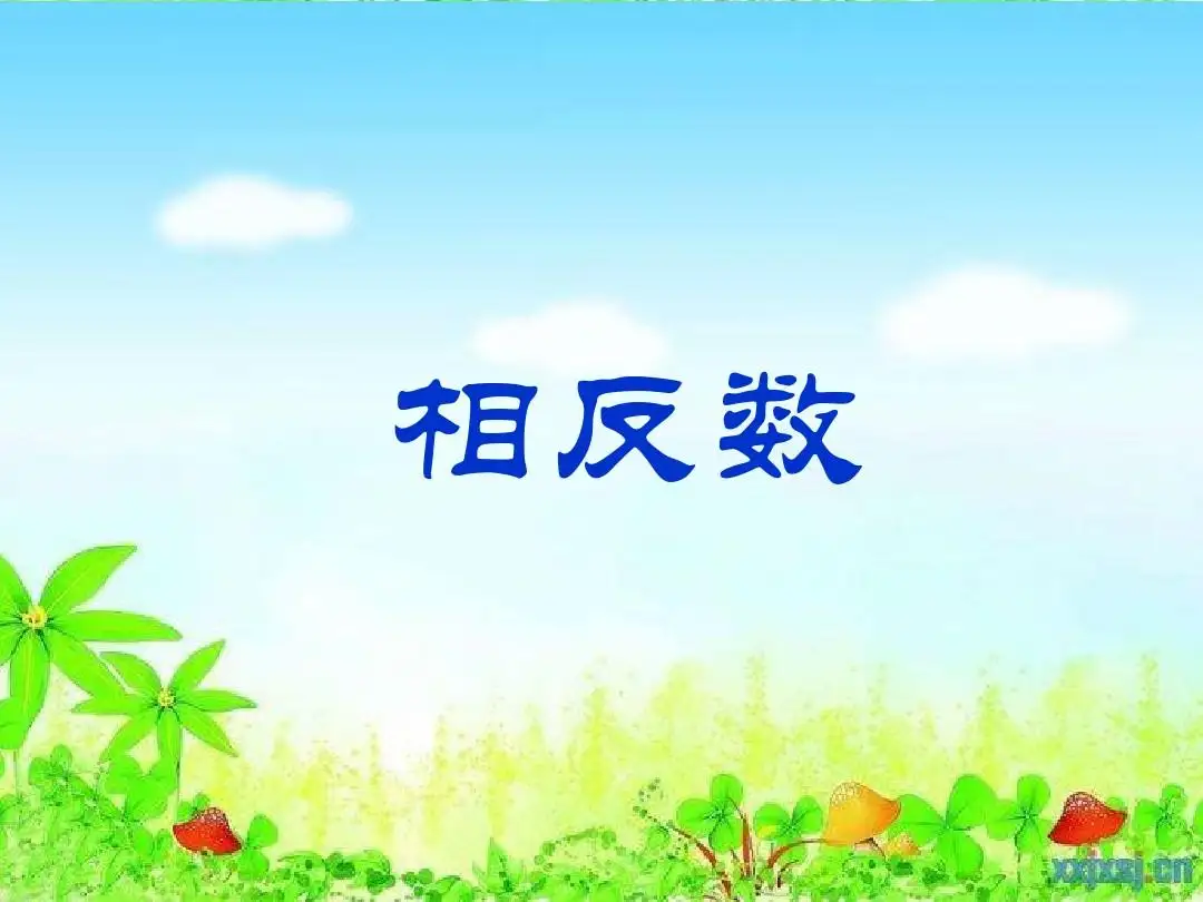 相反数的定义