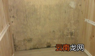 家里物件发霉怎么去除 家里物件发霉怎么去除霉菌