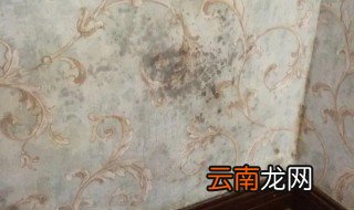 家里墙壁发霉怎么根除霉菌 家里墙壁发霉怎么根除