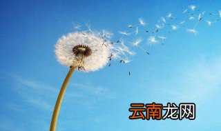 6个字简单的早安心语 6个字简单的早安心语推荐