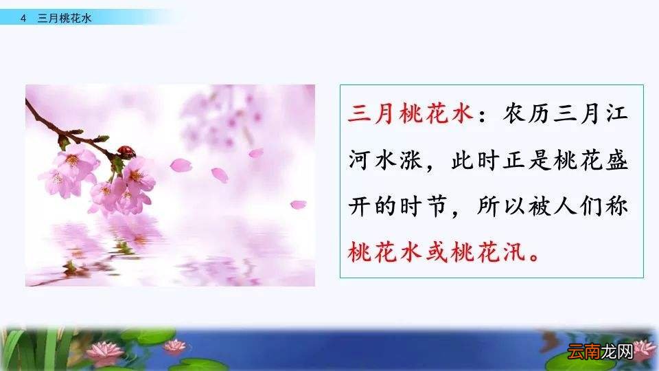 三月桃花水课文