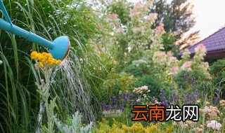 佳澄冬天怎么浇水