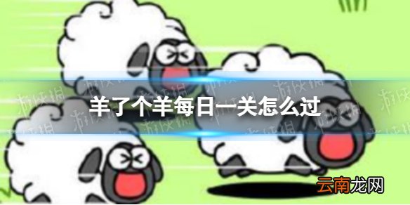 羊了个羊每日一关怎么过 羊了个羊每日一关攻略