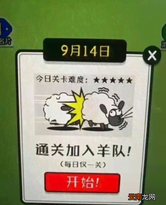 羊了个羊每日一关怎么过 羊了个羊每日一关攻略