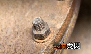 螺母怎么保存不坏 螺母怎么保存不坏呢