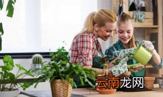 冬天盆栽怎么养 冬季盆栽怎么养