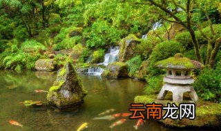 户外鱼池污渍怎么清理干净 户外鱼池污渍怎么清理干净卫生