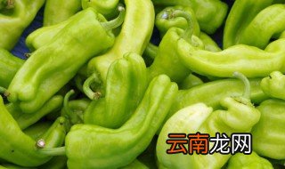 青椒在家怎么种植 怎样种植青椒