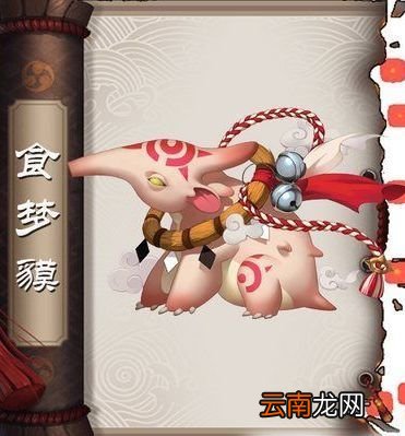 食梦貘哪里多