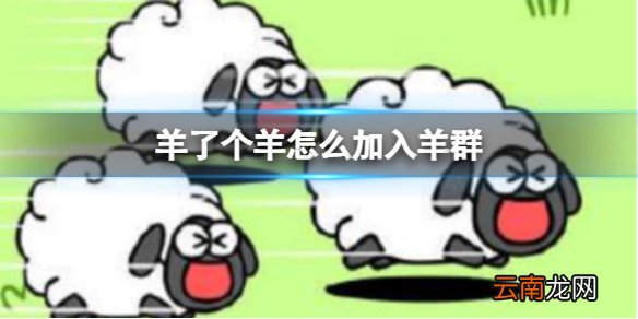 羊了个羊怎么加入羊群 羊了个羊加入羊群方法介绍
