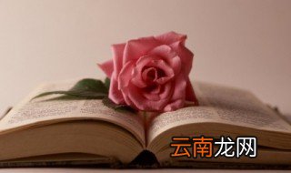 适合发好友的句子 关于友情的唯美句子