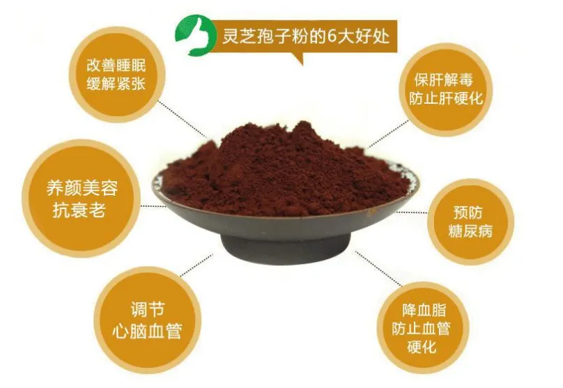 灵芝孢子粉的功效与作用